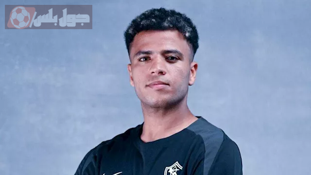 أحمد ربيع