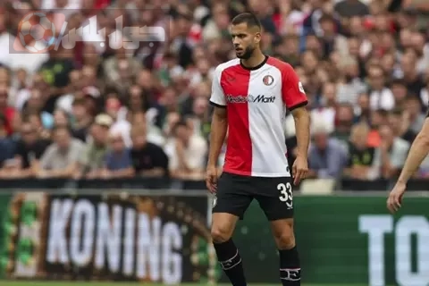 دافيد هانكو