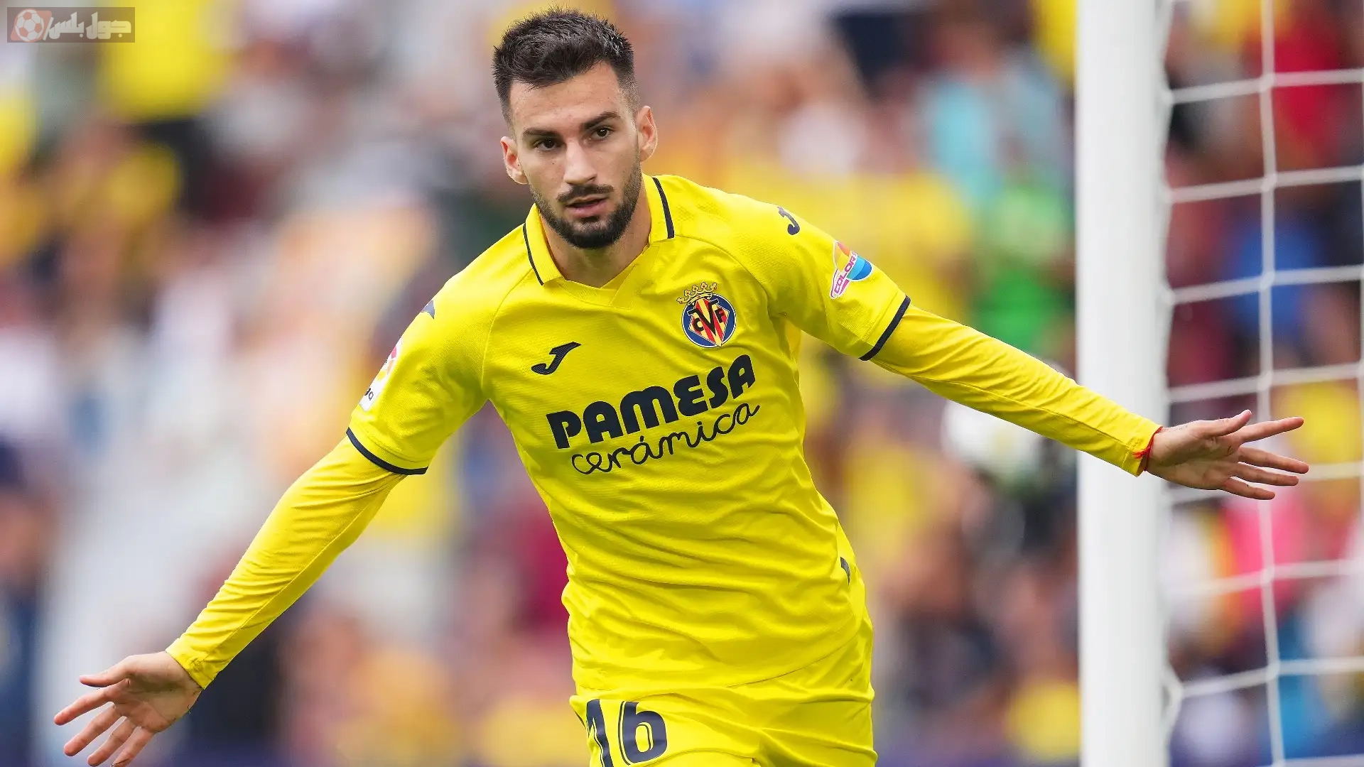 أليكس باينا