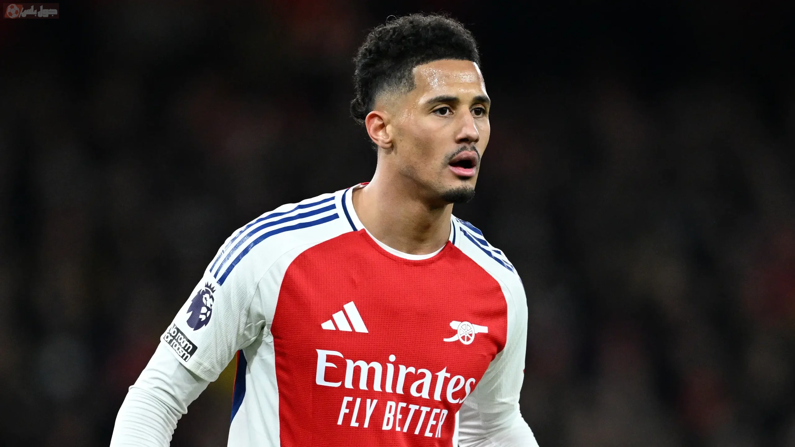 ويليام ساليبا