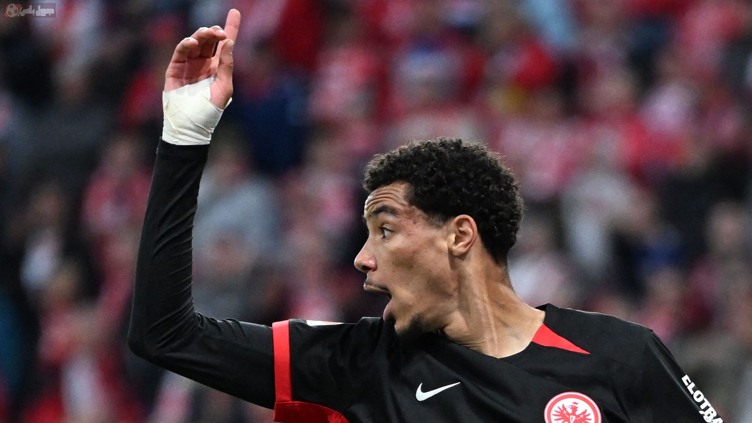 هوغو إيكيتيكي