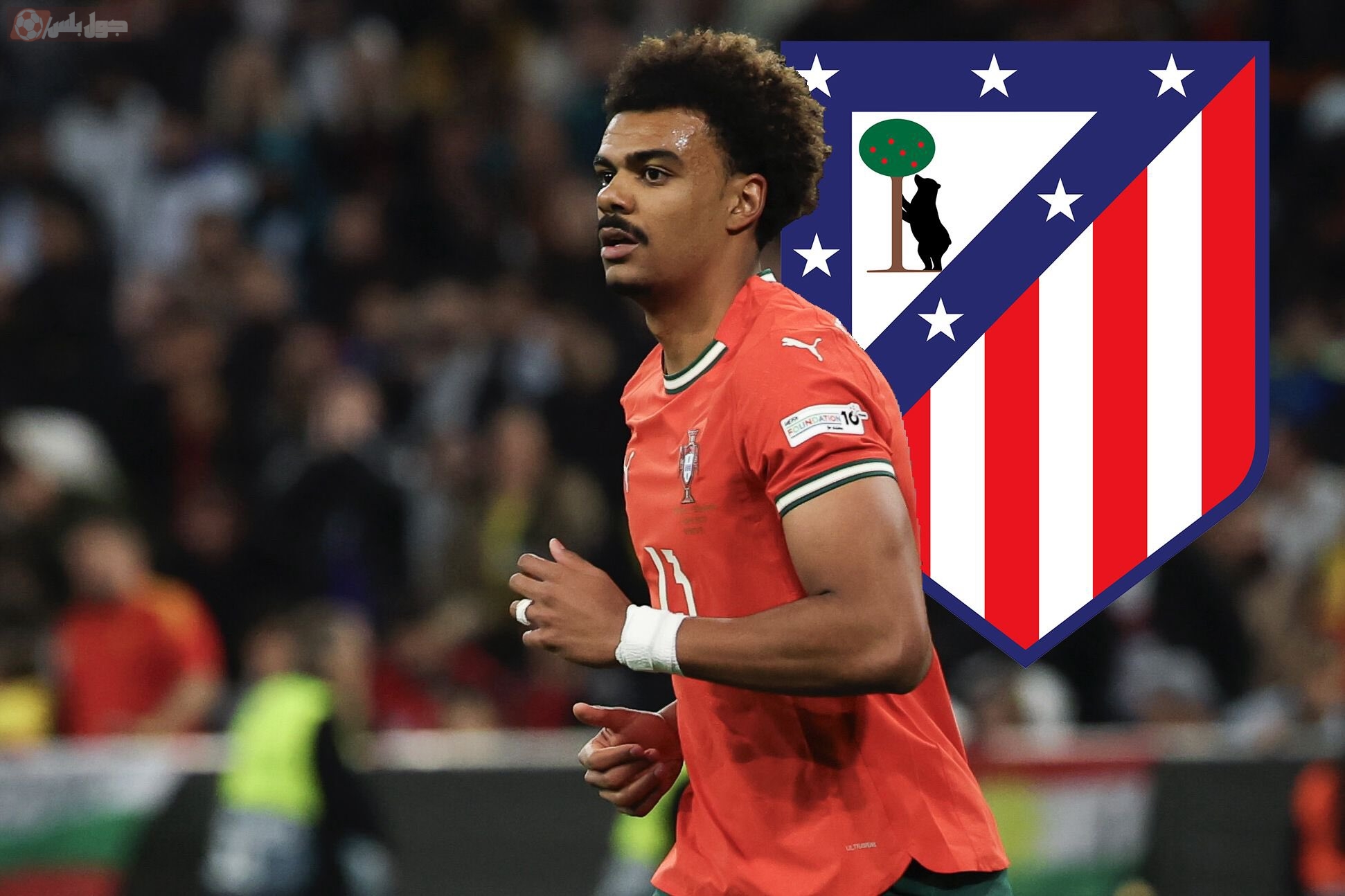 ريناتو فيجا