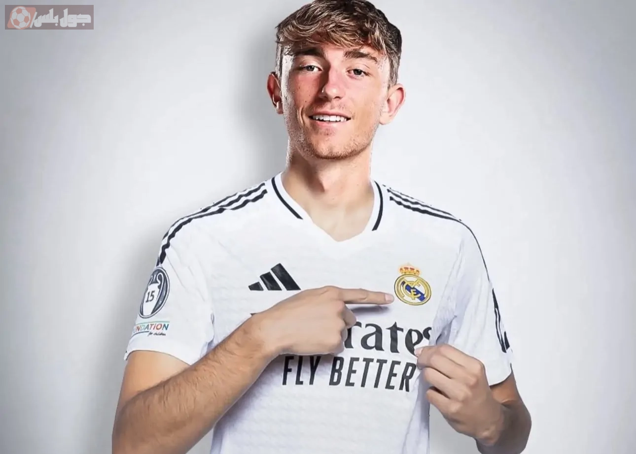 ديان هويسين