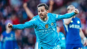 سلط الضوء على سيلفا في دوري إنجلترا الممتاز