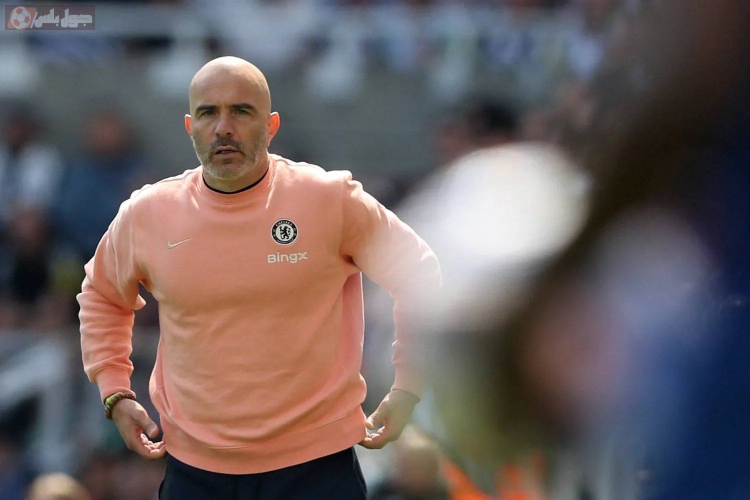 إنزو ماريسكا