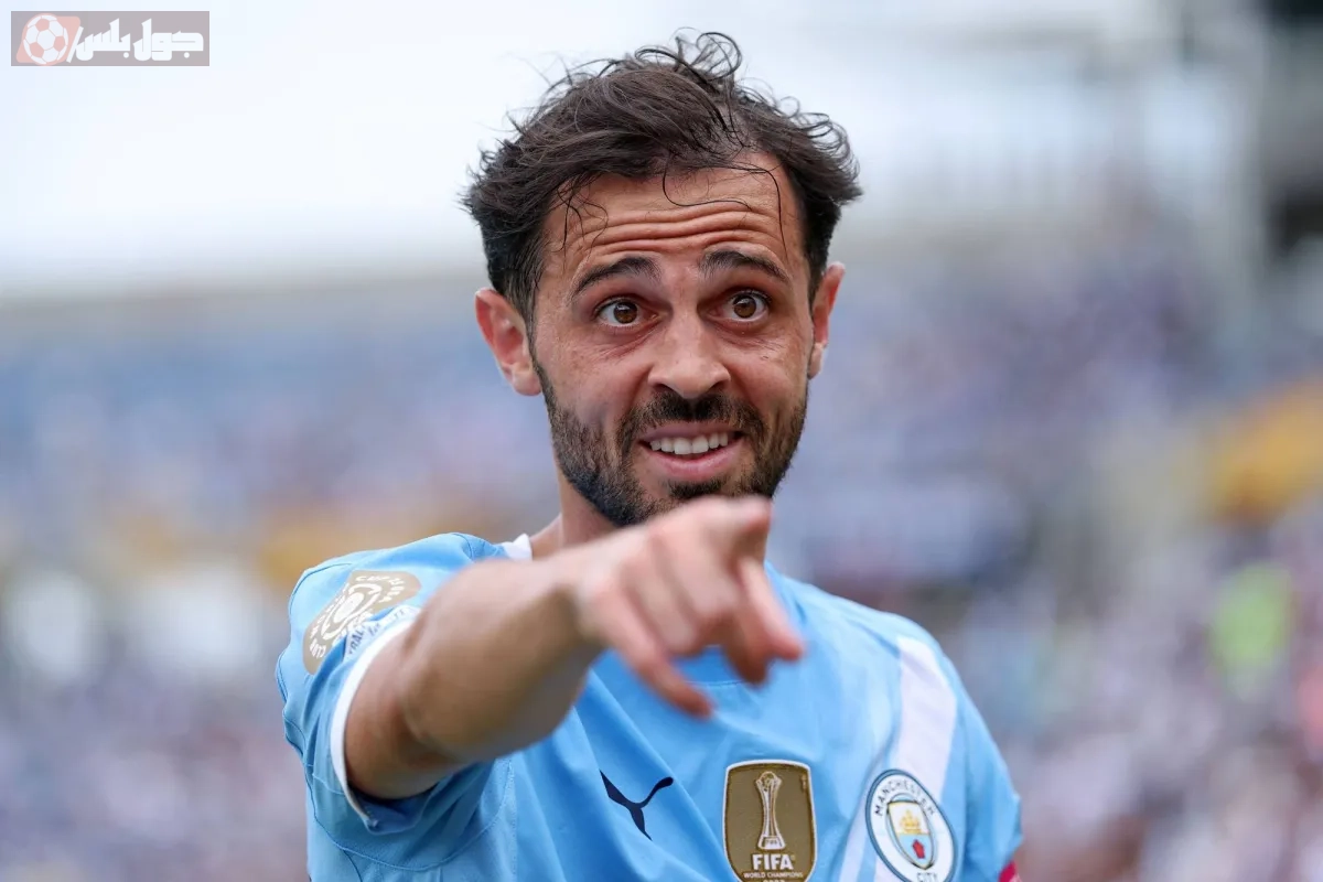 بيرناردو سيلفا