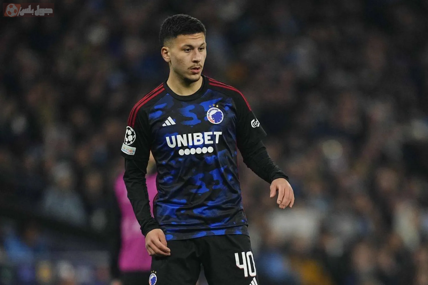 روني بردغجي