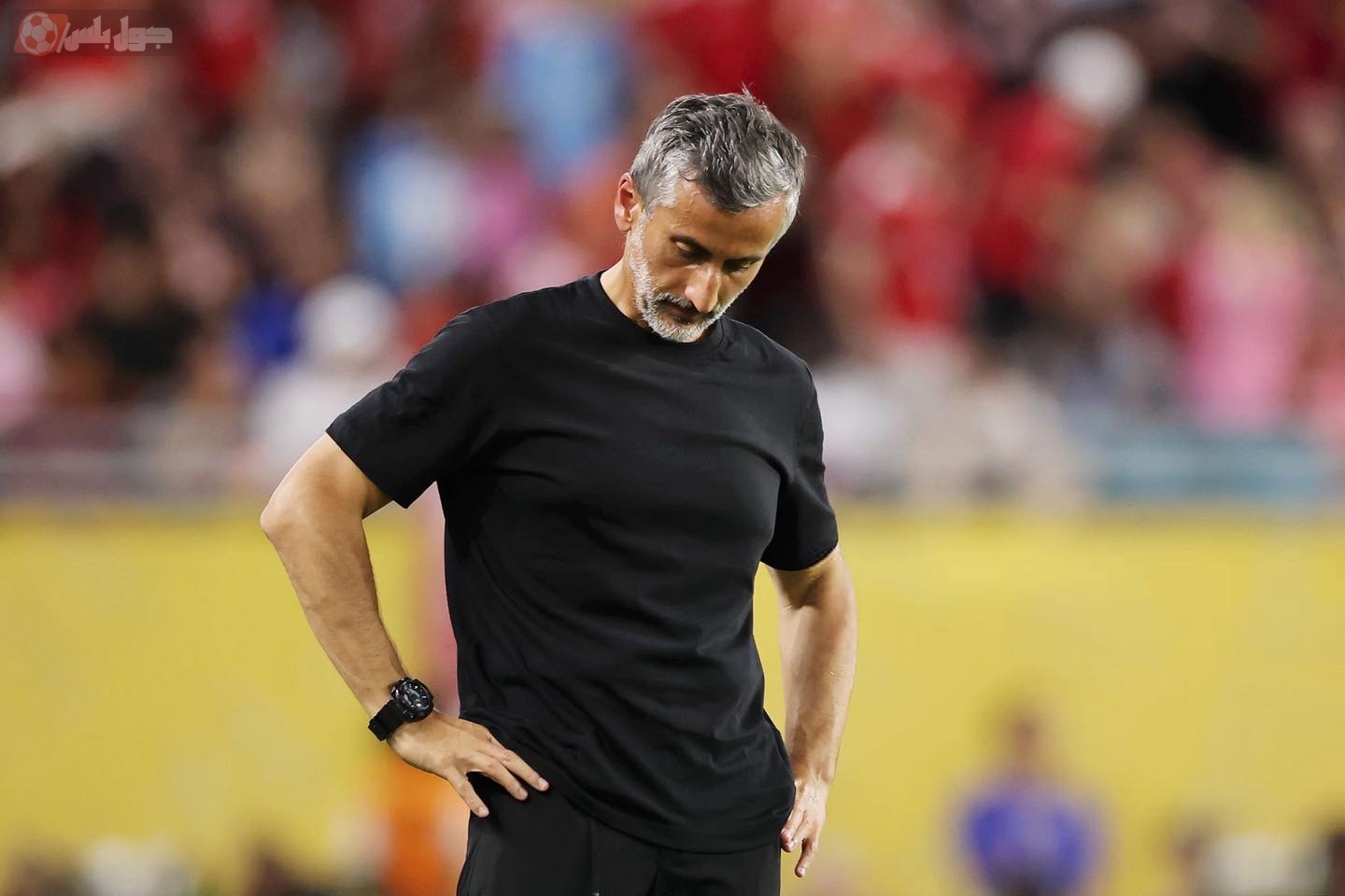 خوسيه ريبييرو