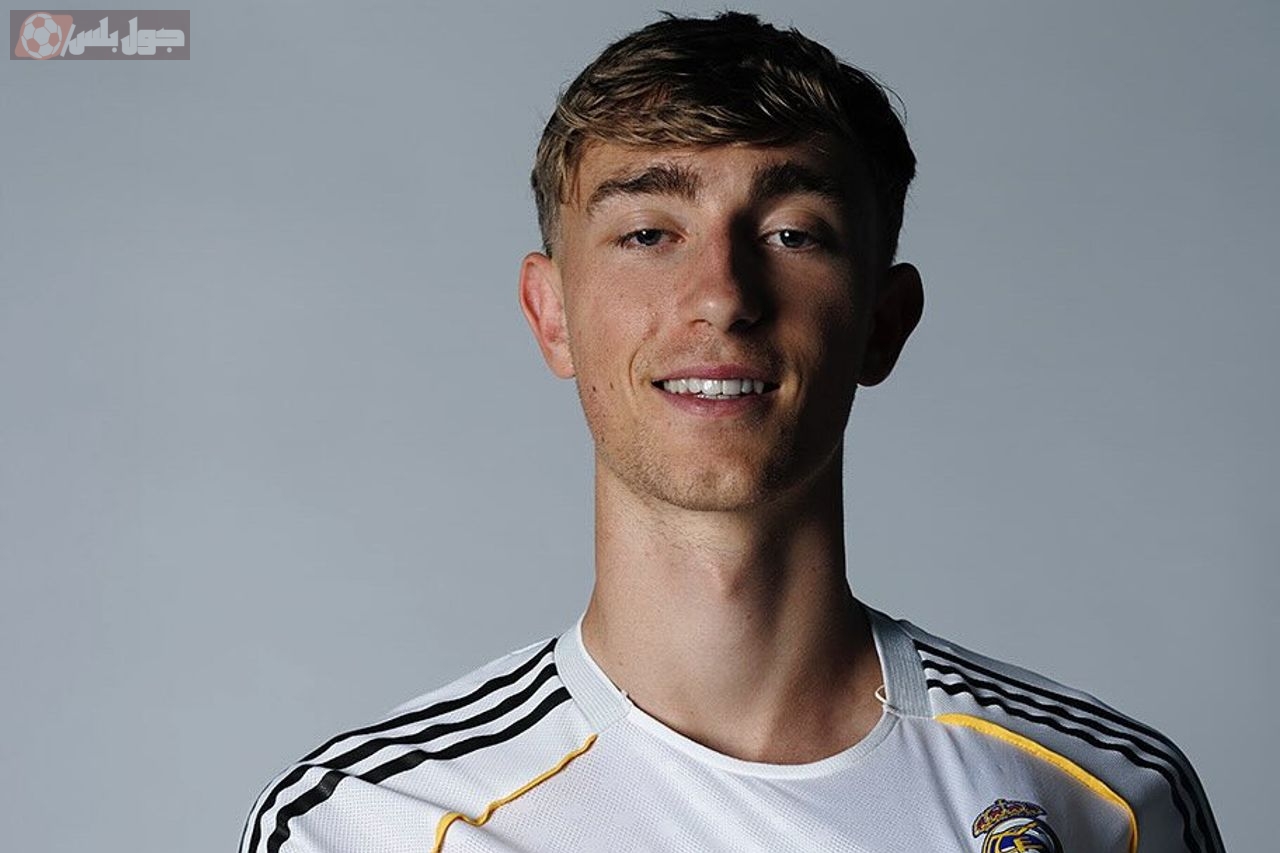 ديان هويسين