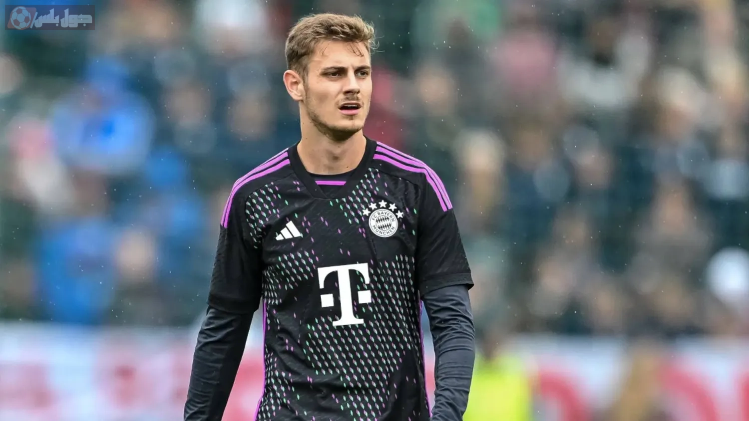 يوسيب ستانيسيتش