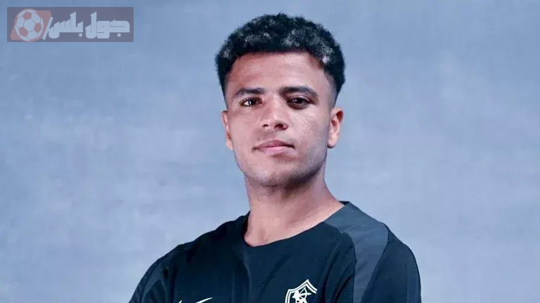 أحمد ربيع