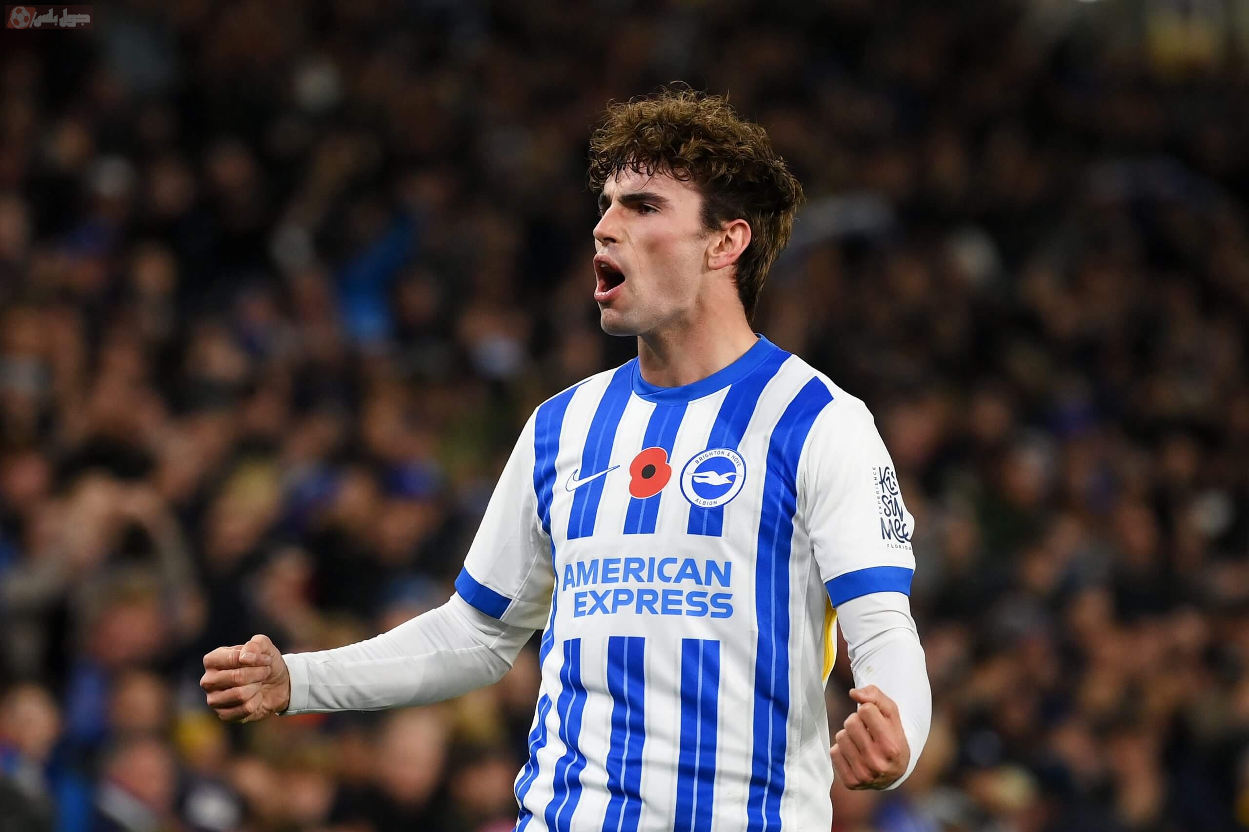 مات أورايللي