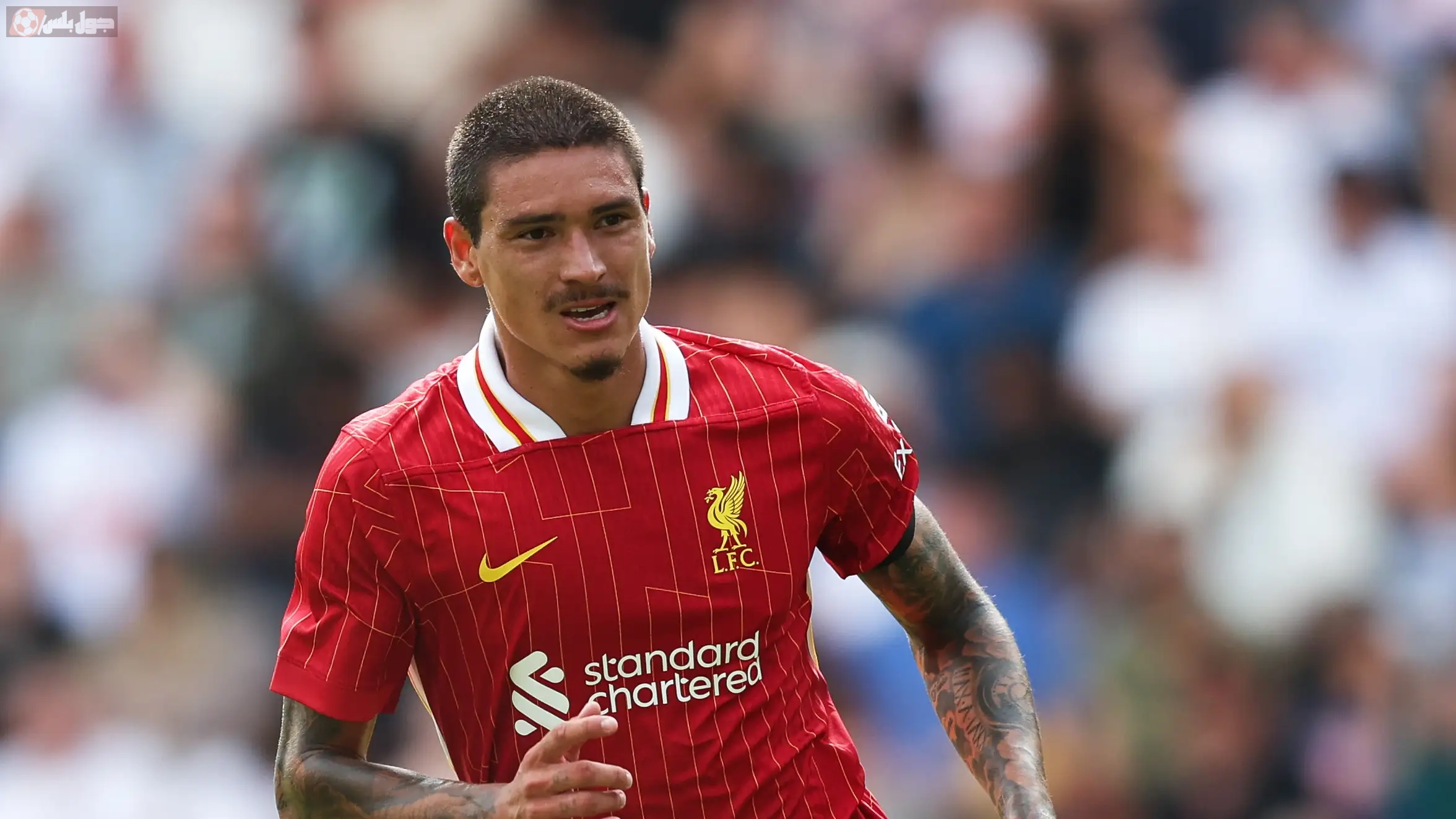 داروين نونيز