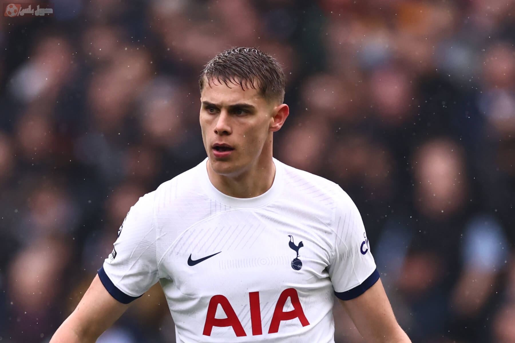 ميكي فان دي فين