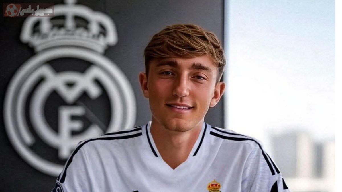 ديان هويسين