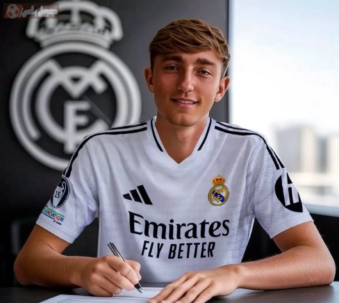 ديان هويسين