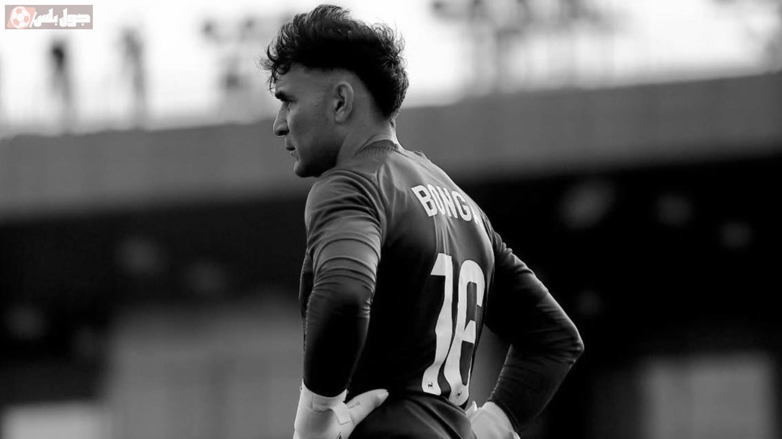 محمد أبو النجا