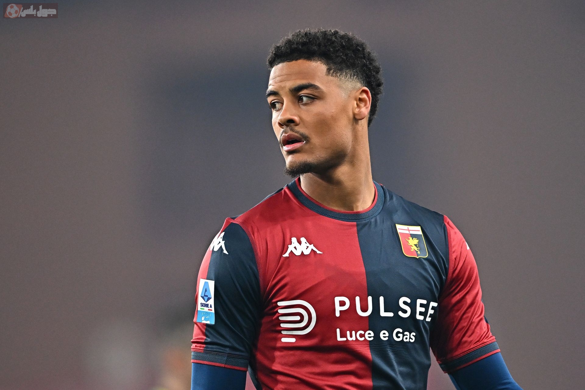 كوني دي وينتر