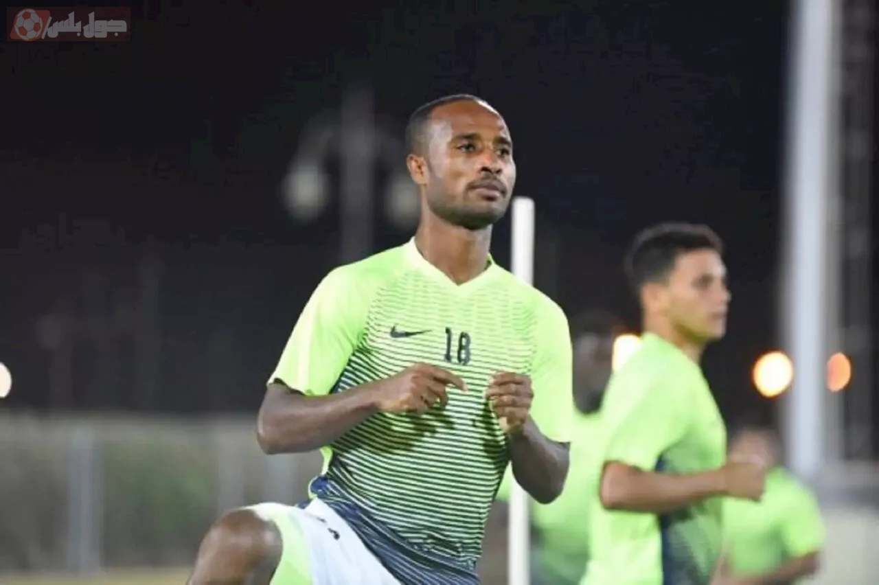 شيميليس بيكلي