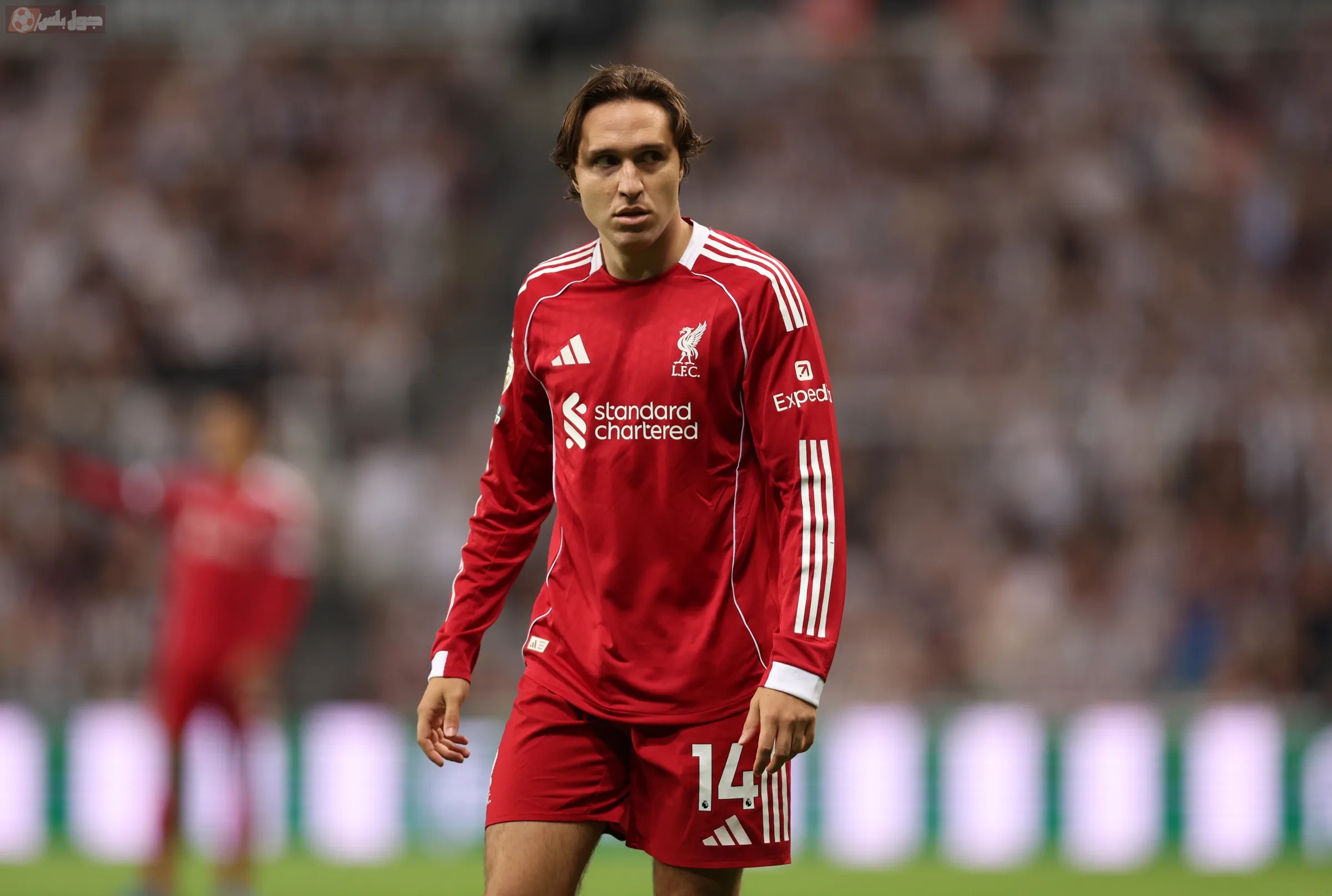 فيديريكو كييزا